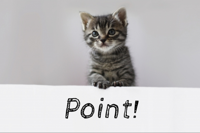 猫とポイントの文字
